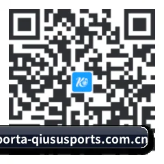 Android 极客版 二维码